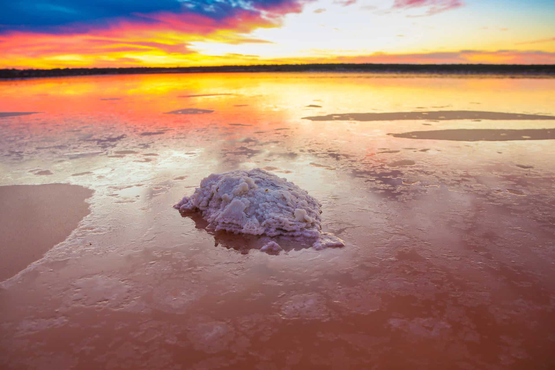 SunSalt Web Design